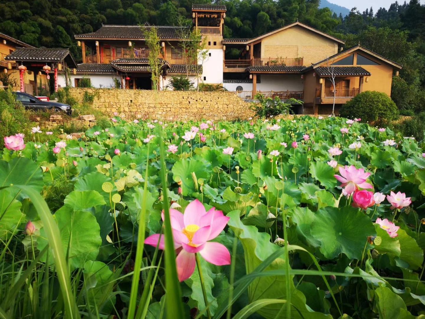 Dayong Antique Feature Resort Čang-ťia-ťie Exteriér fotografie